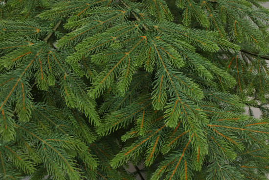 Mű karácsonyfa Lucfenyő Natura EXCLUSIVE 250 cm