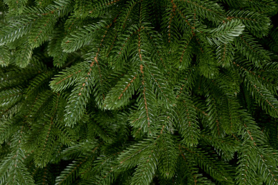 Mű karácsonyfa - Természetes lucfenyő LUXURY 220 cm