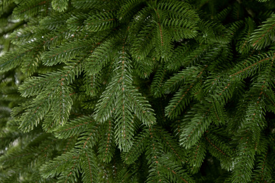 Mű karácsonyfa - Természetes lucfenyő LUXURY 250 cm