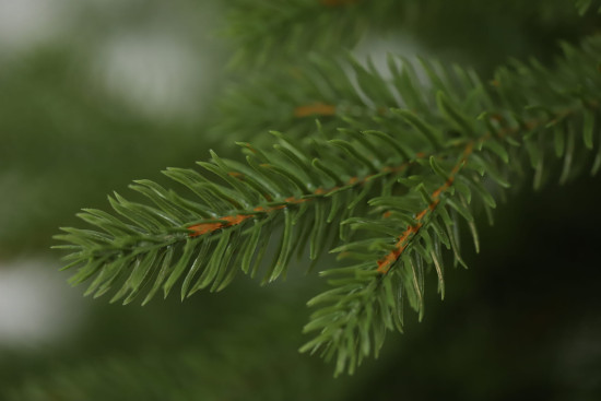 Mű karácsonyfa - Természetes lucfenyő LUXURY 250 cm