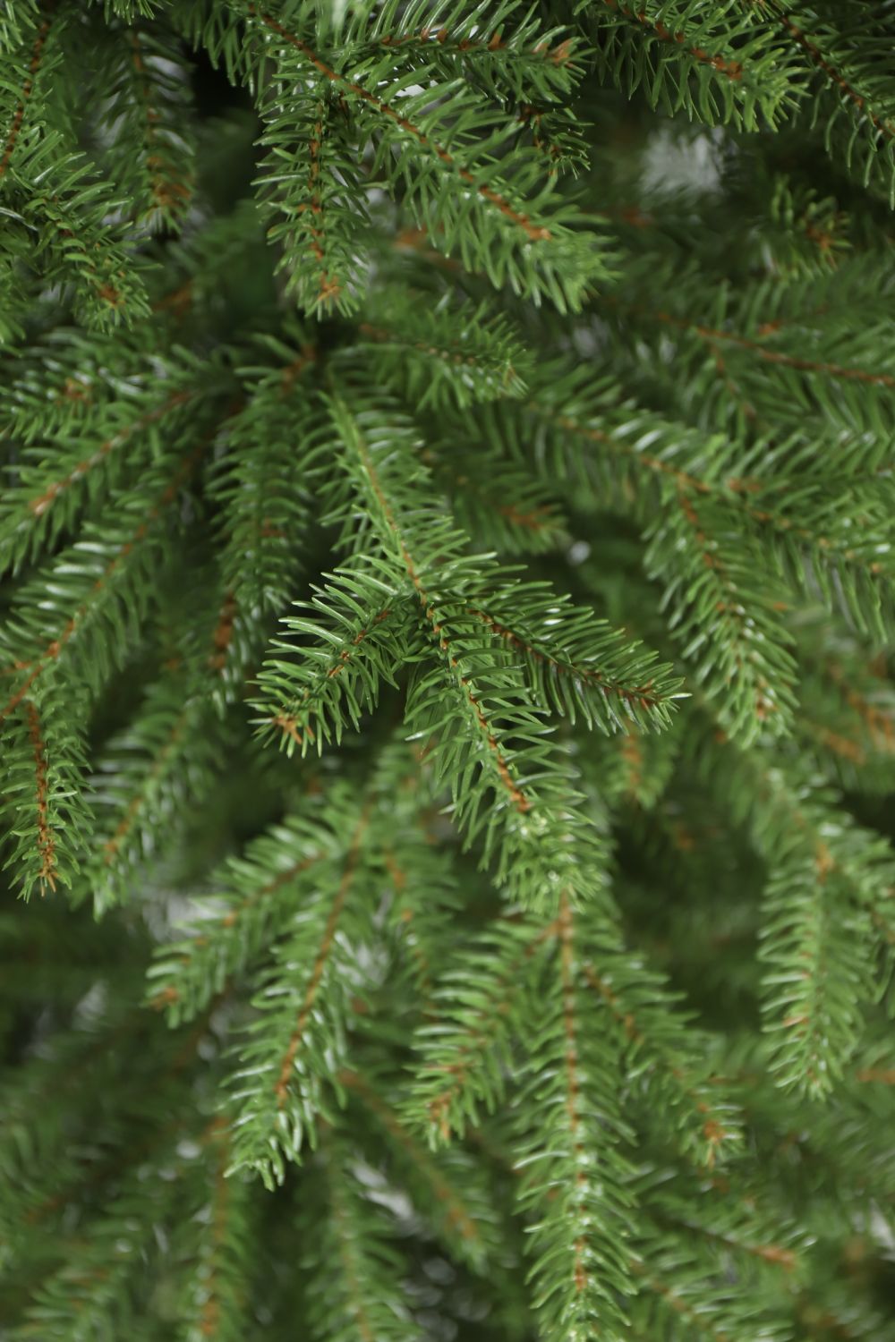 Természetes hatású lucfenyő karácsonyfa törzsön – 220 cm