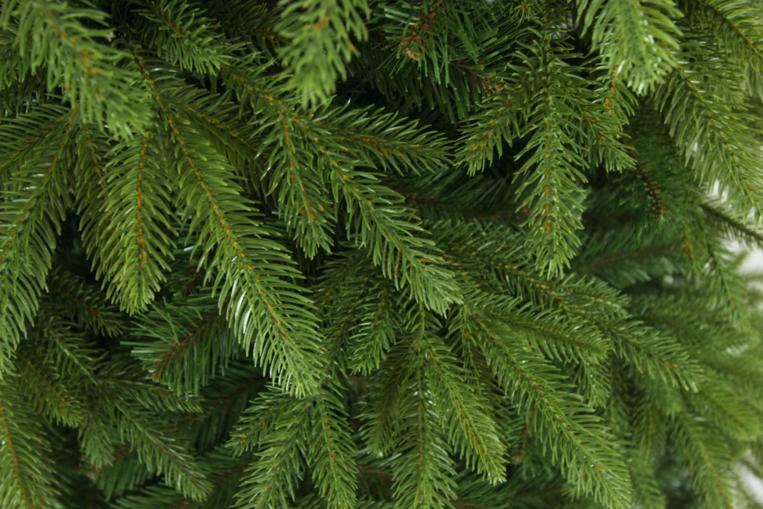 Műfa Természetes lucfenyő ROYAL 150 cm