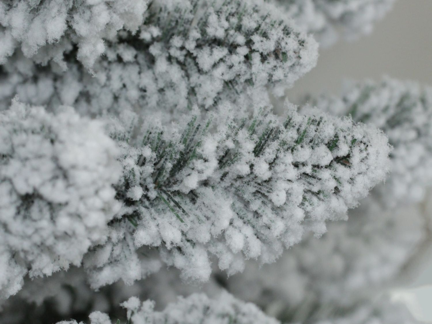 Havas mű lucfenyőfa 150 cm