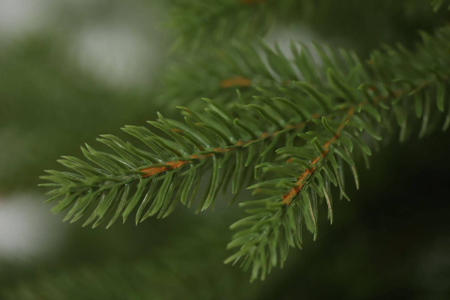 Mű karácsonyfa - Természetes lucfenyő LUXURY 250 cm