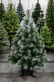 EIRA műfenyő karácsonyfa cserépben - 110 cm